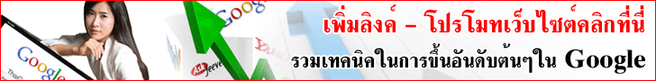 โปรโมทเว็บไซต์